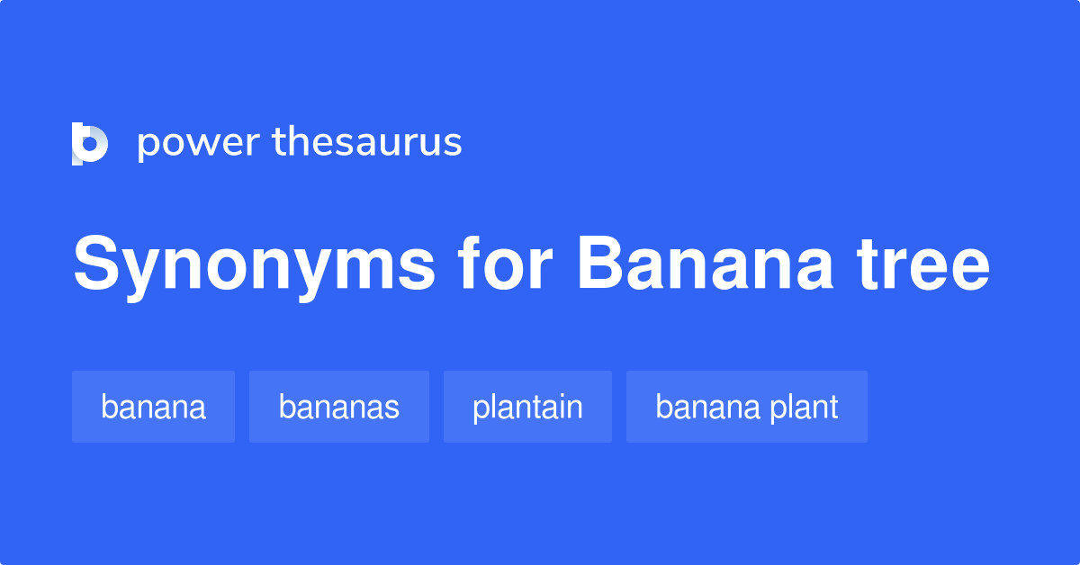 Banana Tree synonyms 35 Words and Phrases for Banana Tree