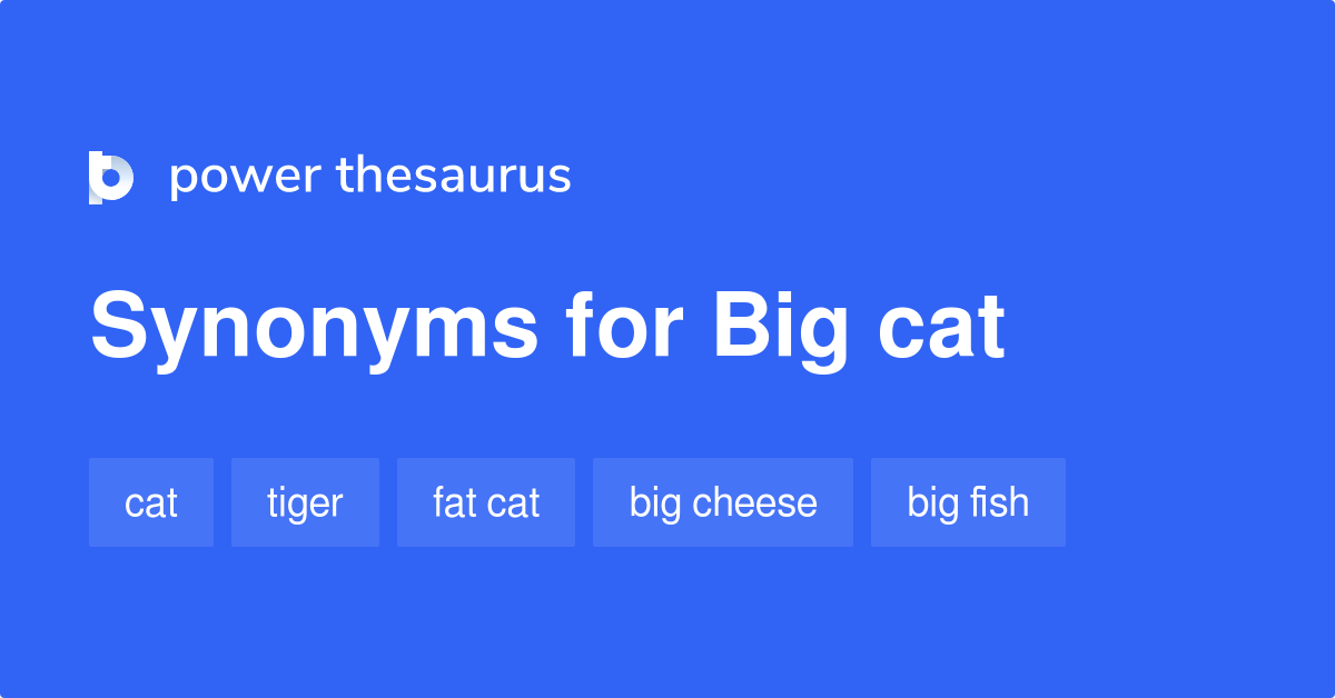 Big Cat synonyms 256 Words and Phrases for Big Cat