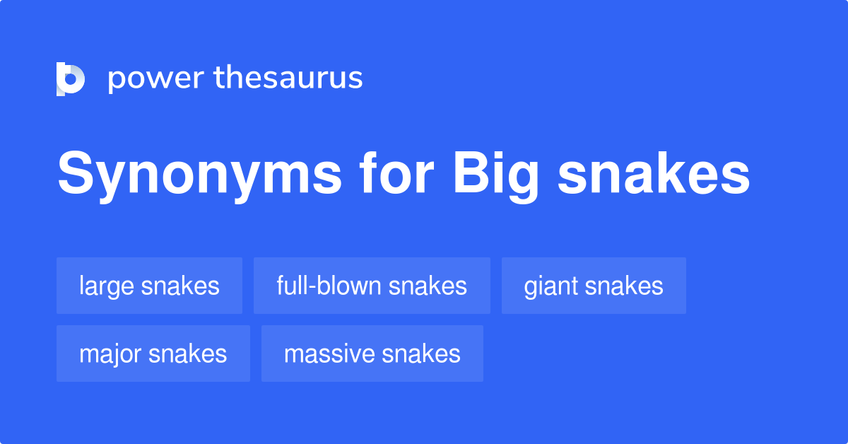 Big Snakes synonyms 9 Words and Phrases for Big Snakes