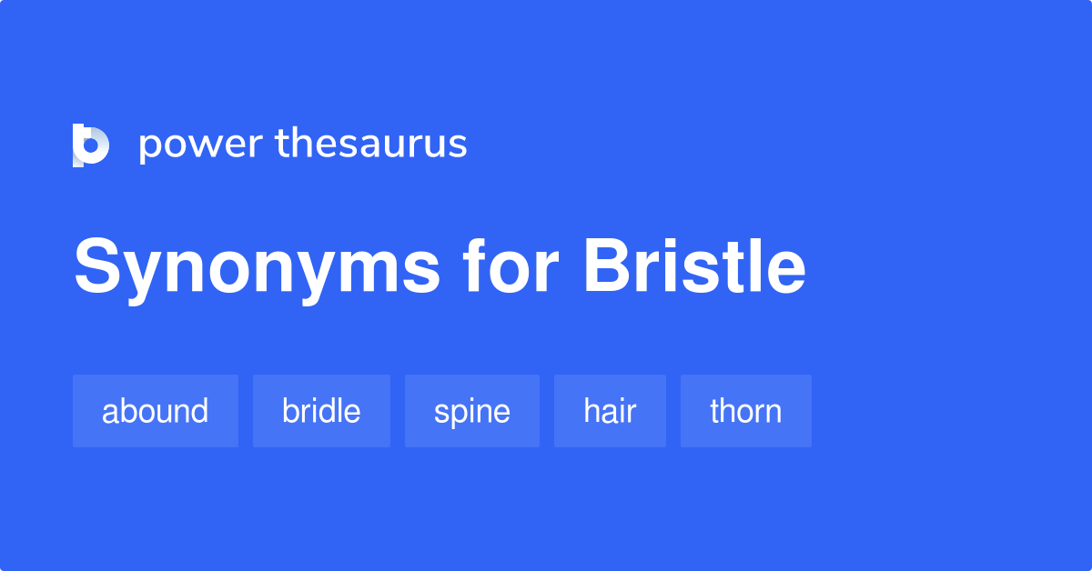 Bristle synonyms 1 150 Words and Phrases for Bristle