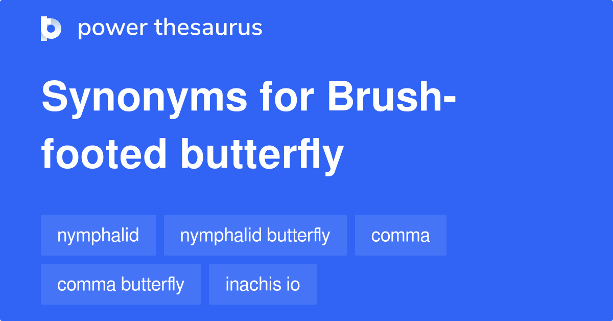 Brushfooted Butterfly synonyms 9 Words and Phrases for Brushfooted