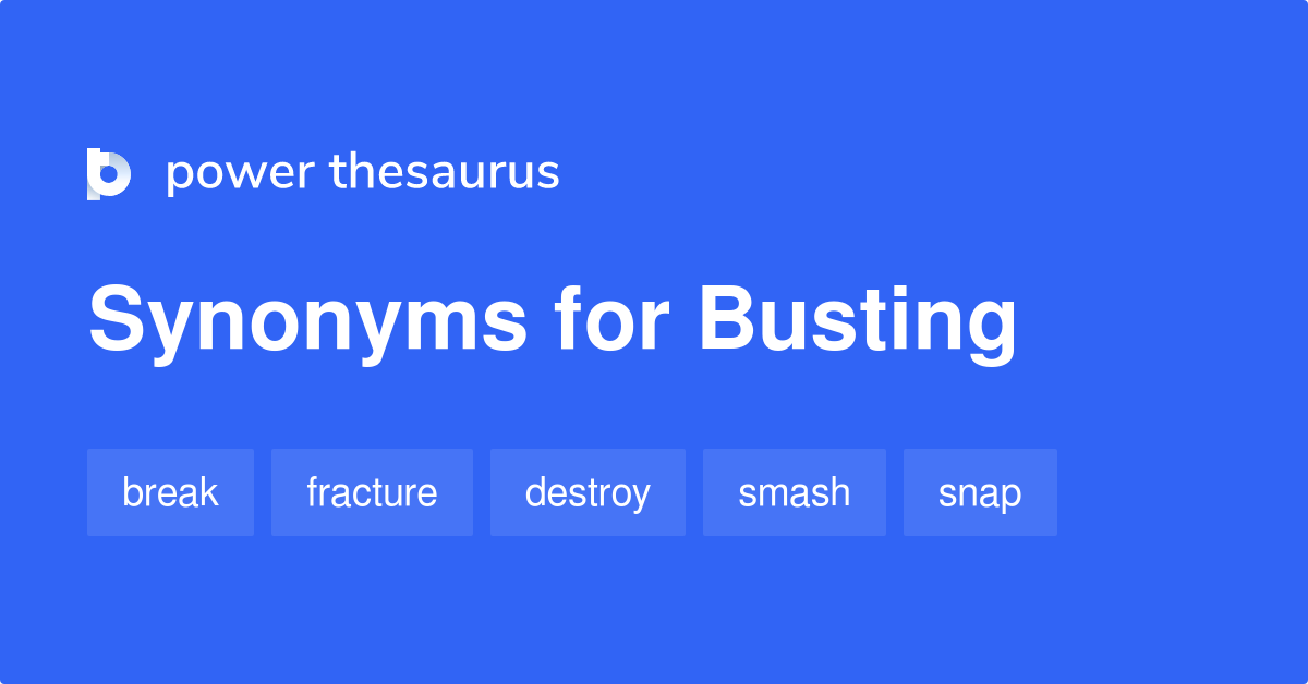 Busting synonyms - 216 Words and Phrases for Busting