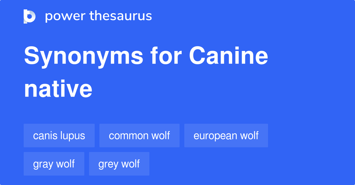 Canine Native synonyms 9 Words and Phrases for Canine Native