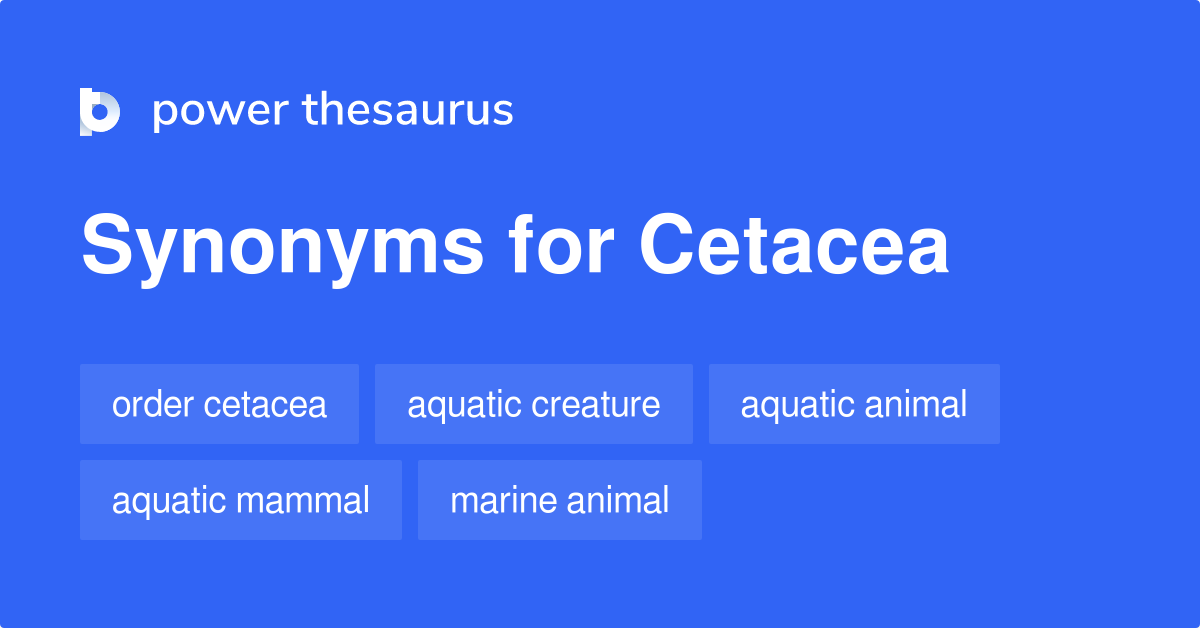 Cetacea synonyms 16 Words and Phrases for Cetacea