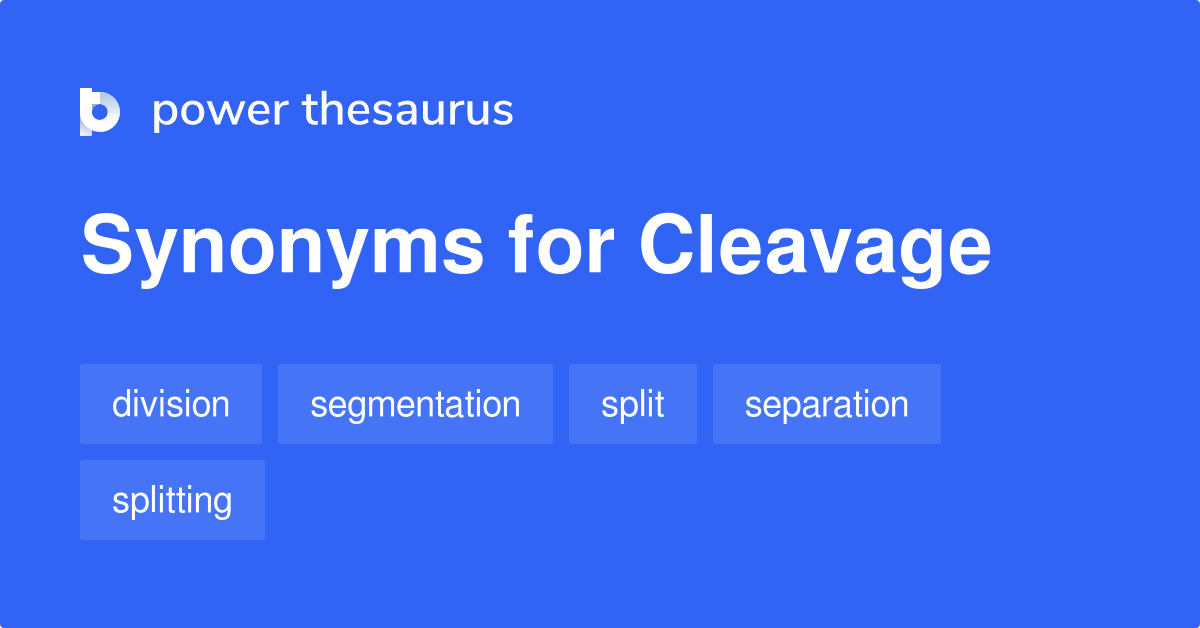 Cleavage synonyms 587 Words and Phrases for Cleavage