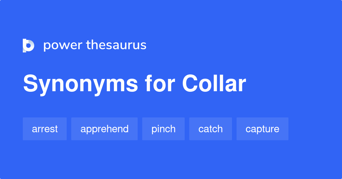 Collar synonyms 1 494 Words and Phrases for Collar