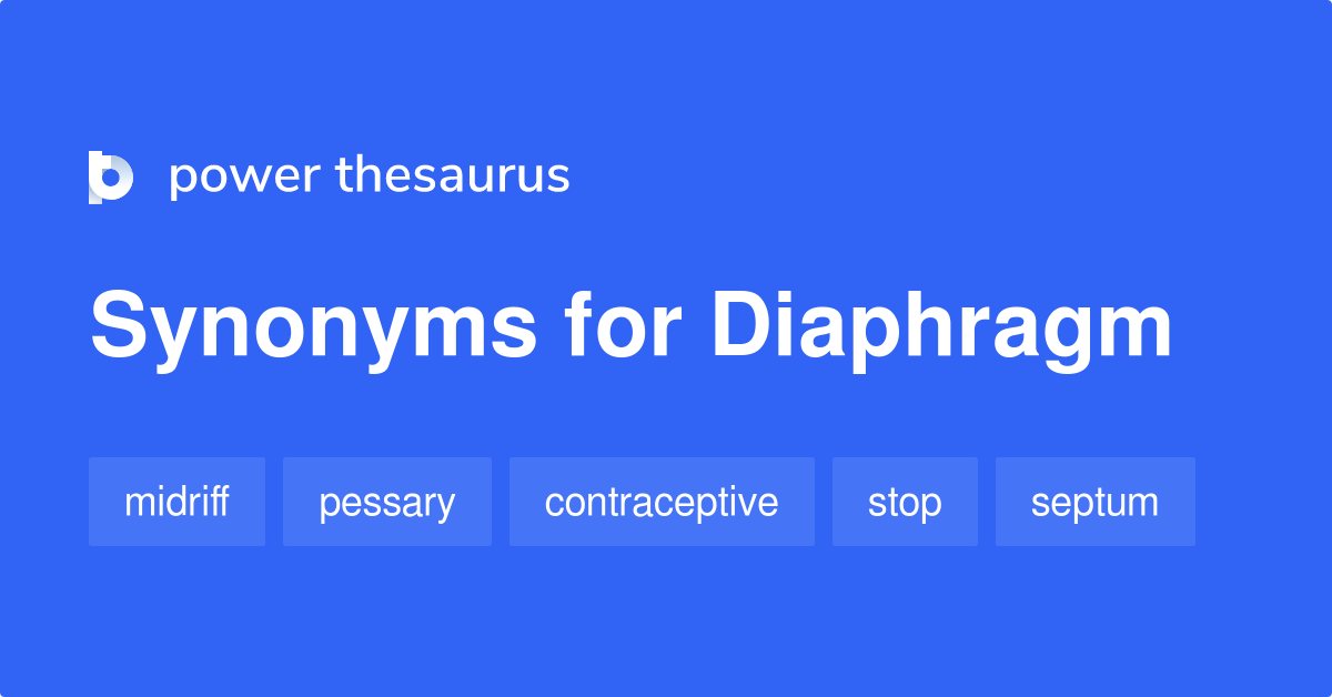 Diaphragm synonyms 465 Words and Phrases for Diaphragm