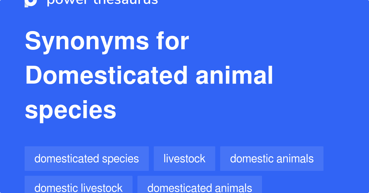 Domesticated Animal Species synonyms 54 Words and Phrases for Domesticated Animal Species