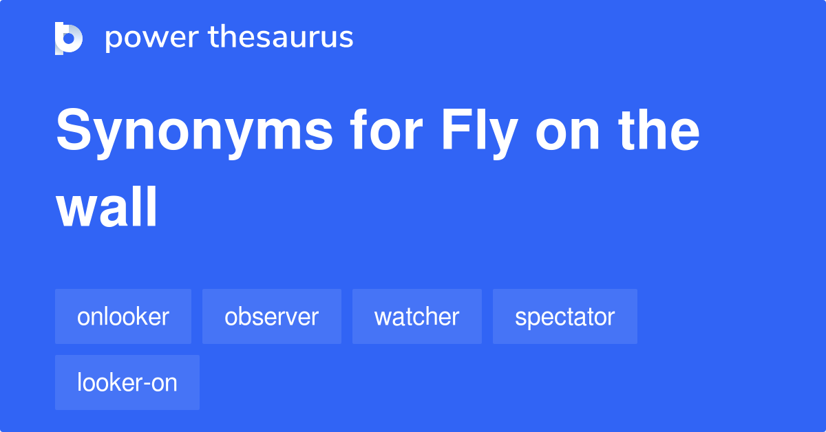 Fly On The Wall synonyms 28 Words and Phrases for Fly On The Wall