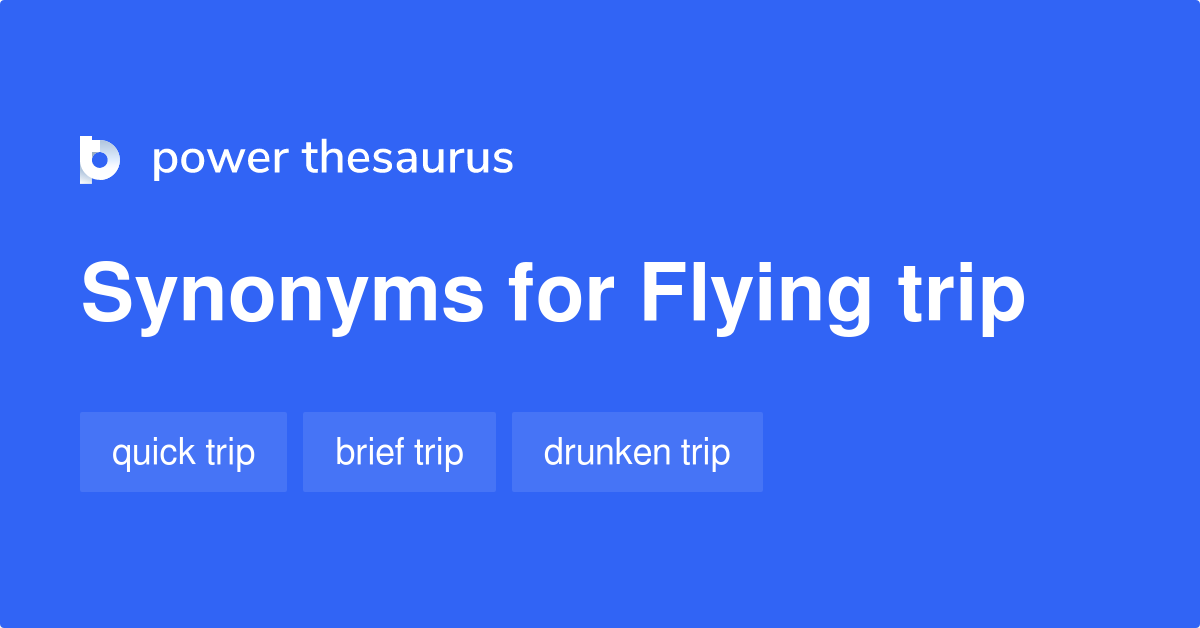 flying trip meaning