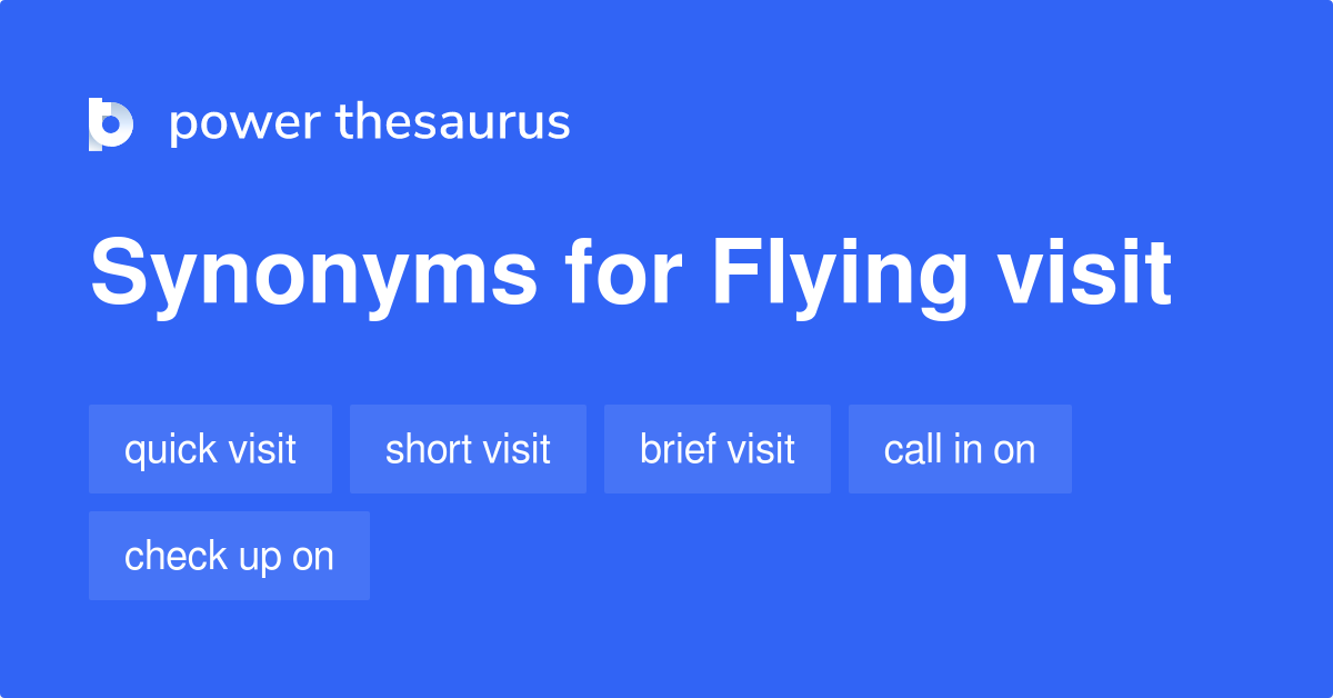 flying visit idiomatic meaning