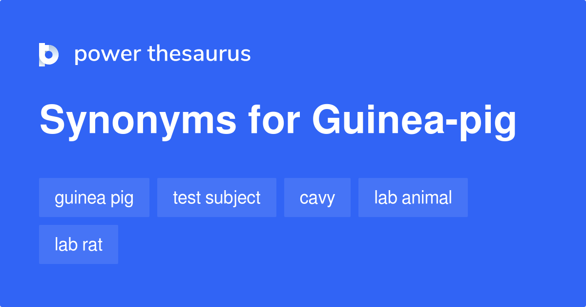 Guineapig synonyms 72 Words and Phrases for Guineapig