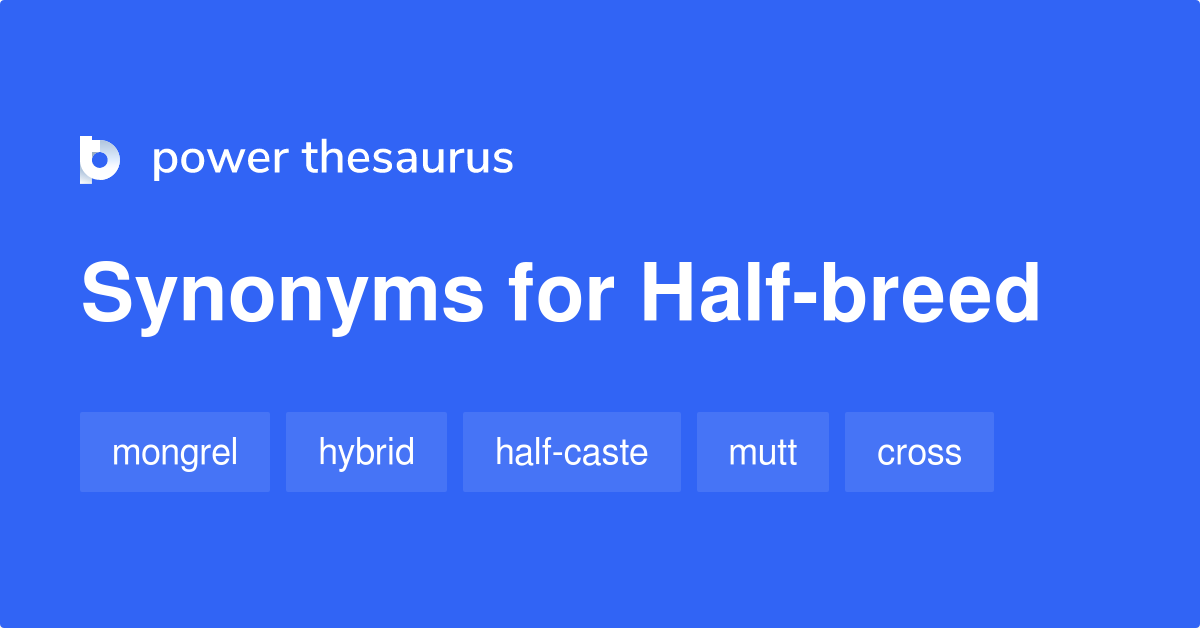 Halfbreed synonyms 101 Words and Phrases for Halfbreed