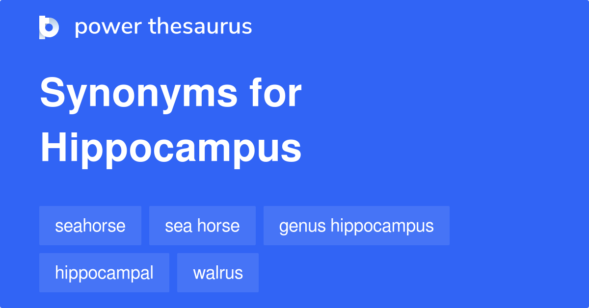 Hippocampus synonyms 185 Words and Phrases for Hippocampus