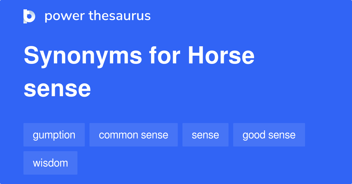 Horse Sense synonyms 73 Words and Phrases for Horse Sense