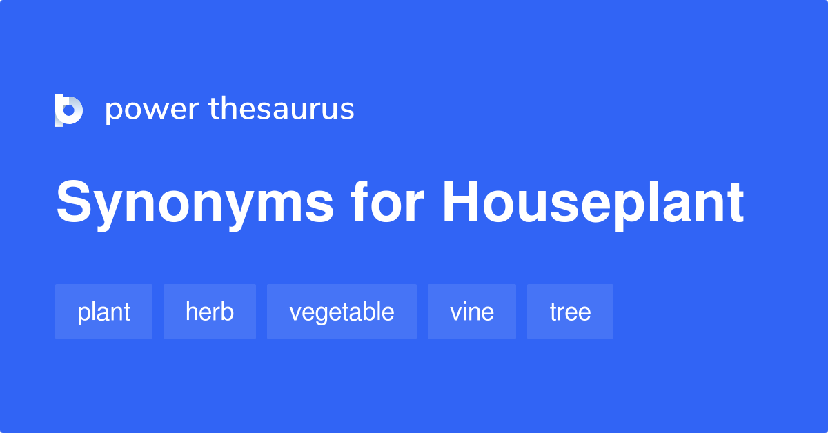 Houseplant synonyms 116 Words and Phrases for Houseplant
