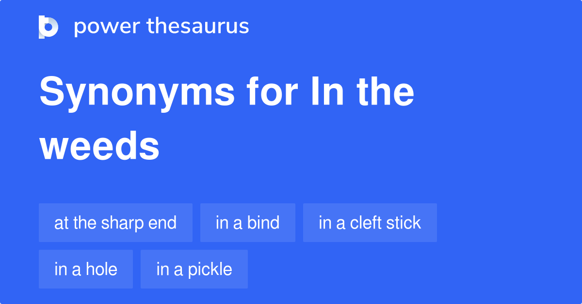 In The Weeds synonyms 59 Words and Phrases for In The Weeds