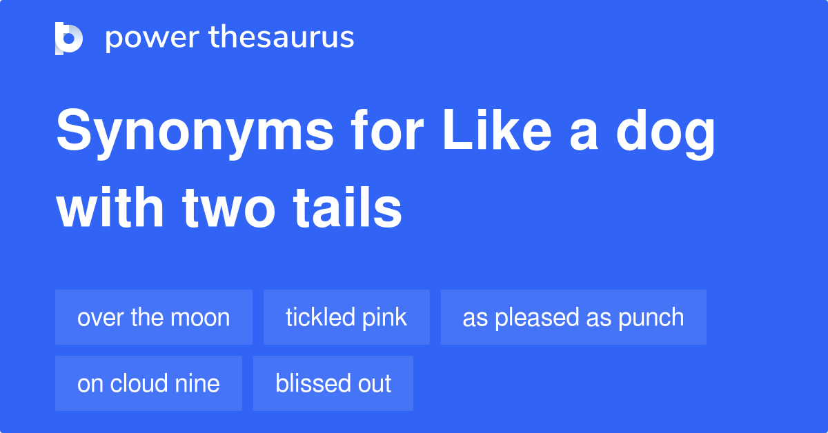 Like A Dog With Two Tails synonyms 411 Words and Phrases for Like A Dog With Two Tails