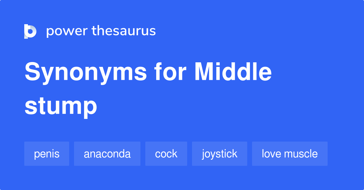 Middle Stump synonyms 48 Words and Phrases for Middle Stump