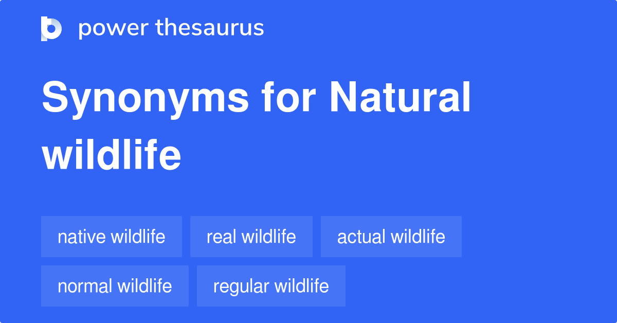 Natural Wildlife synonyms 10 Words and Phrases for Natural Wildlife