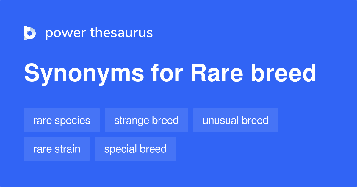 Rare Breed synonyms 97 Words and Phrases for Rare Breed