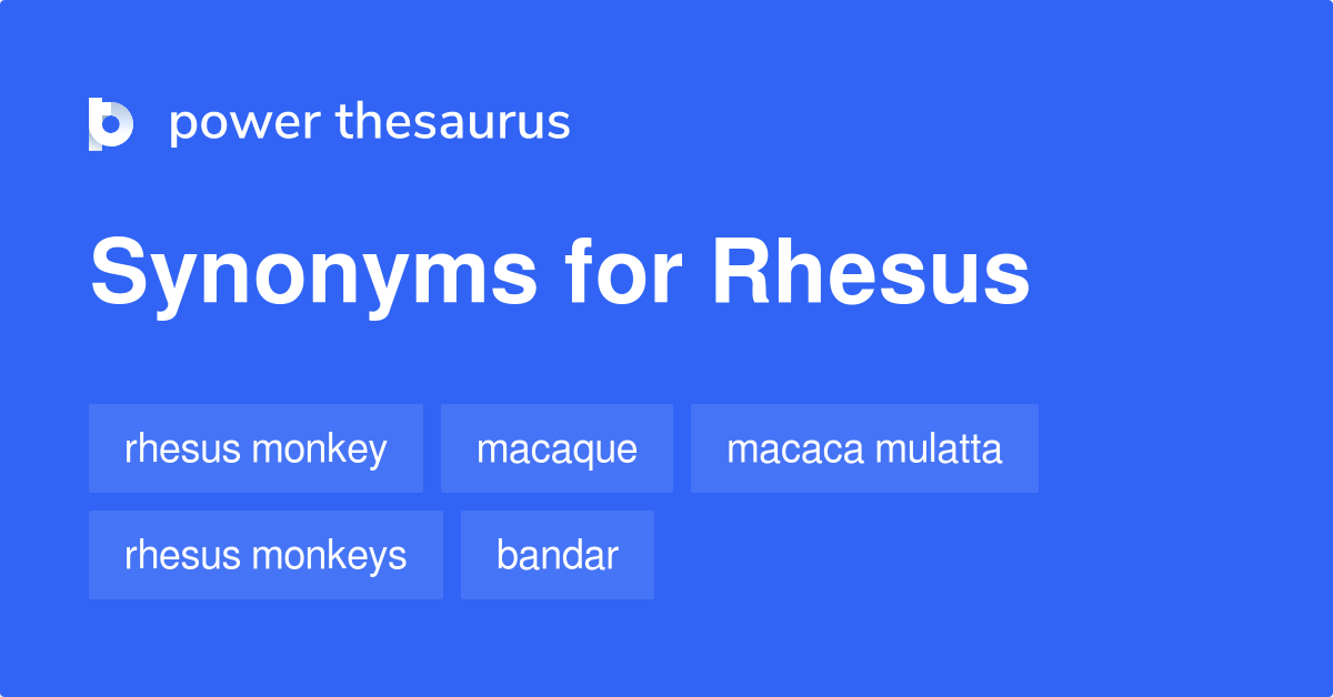 Rhesus synonyms 53 Words and Phrases for Rhesus