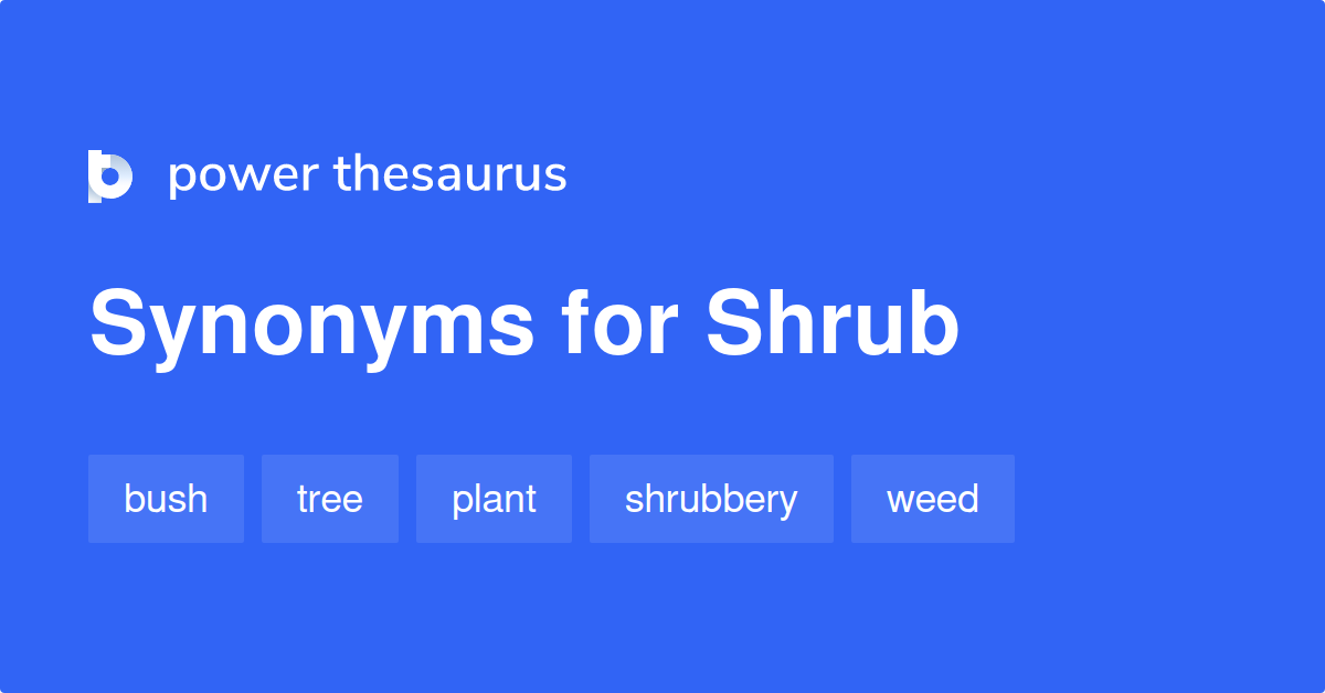 Shrub synonyms 456 Words and Phrases for Shrub