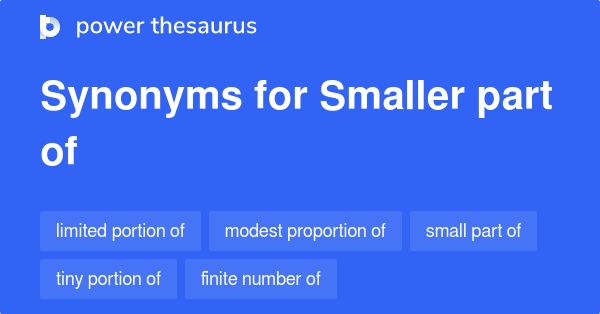 430 SMALLER PART OF Synonyms