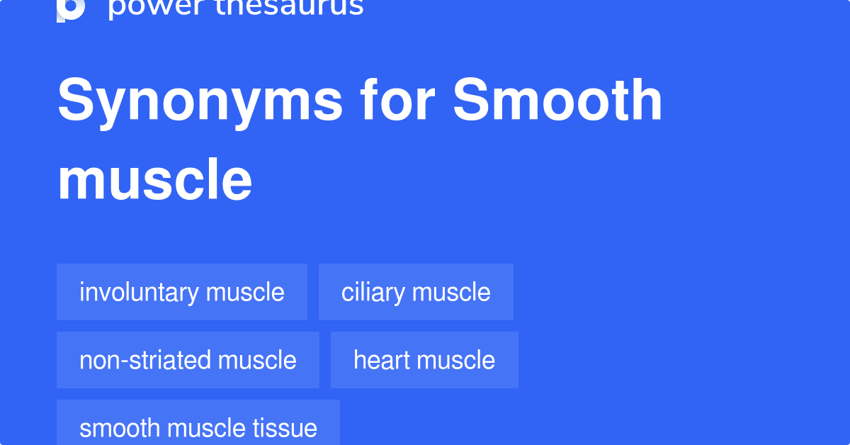 Smooth Muscle synonyms 78 Words and Phrases for Smooth Muscle
