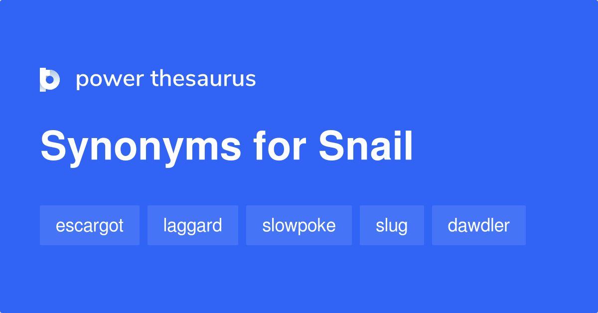Snail synonyms 486 Words and Phrases for Snail