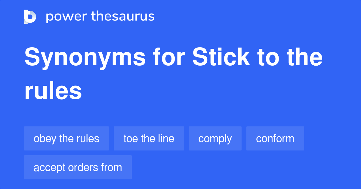 stickler for the rules synonym