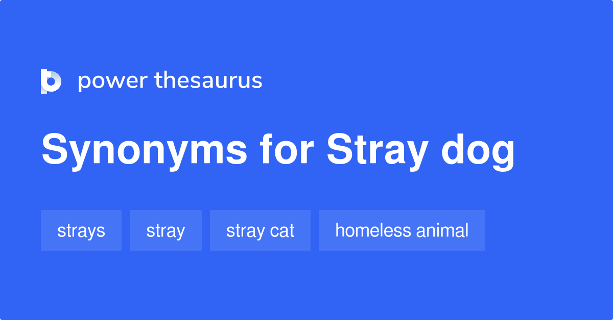 Stray Dog synonyms 95 Words and Phrases for Stray Dog