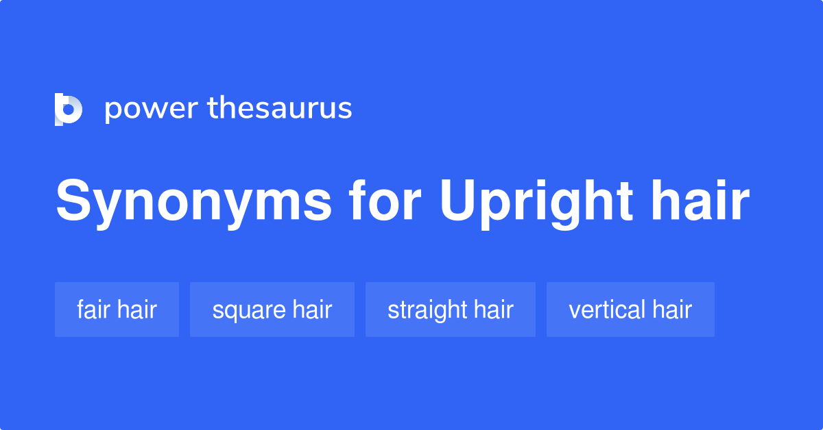 Upright Hair synonyms 23 Words and Phrases for Upright Hair