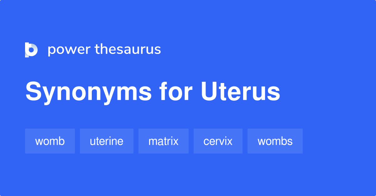 Uterus synonyms - 71 Words and Phrases for Uterus