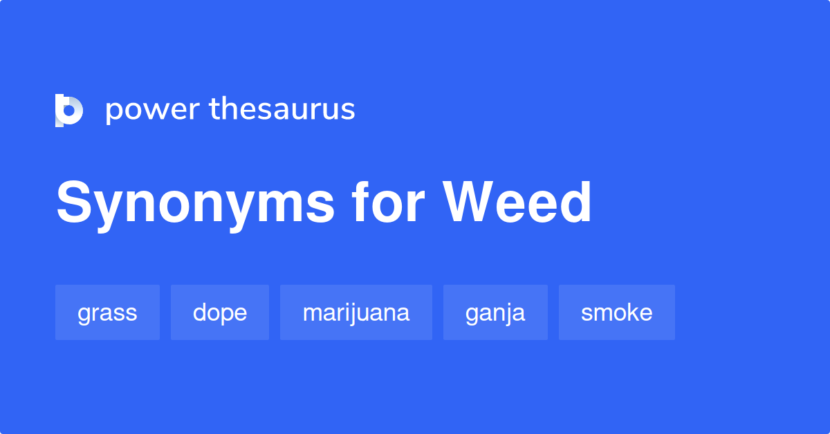 81 Synonyms for Weed related to Slang